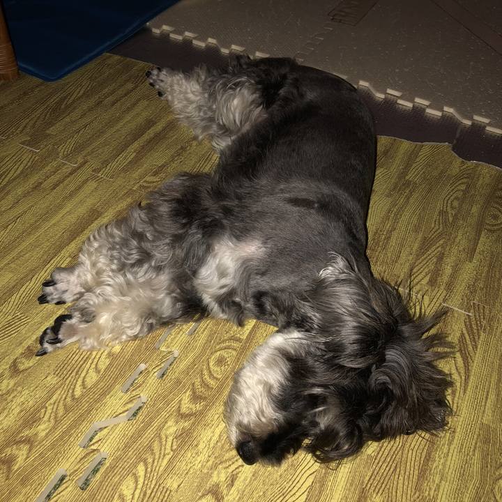 0da92e3c b11b 4360 9f3d 03dad57b2bd2 1532745266513