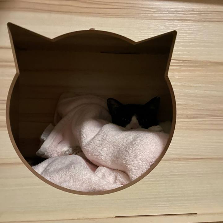 0da953b3 8aff 4263 8c4f e03f85d8bda0 1681738935470