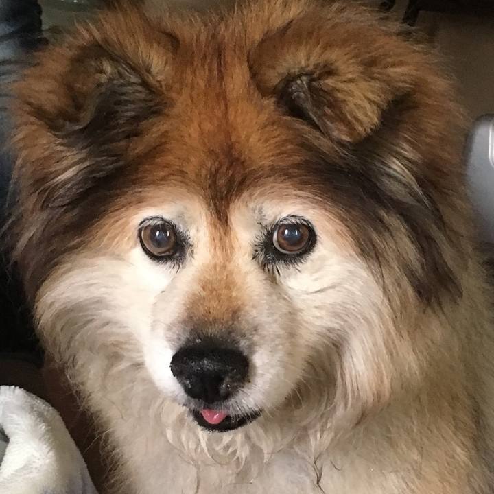 0da97779 4688 4df7 8387 bc1ea824b2fe 1587967130049