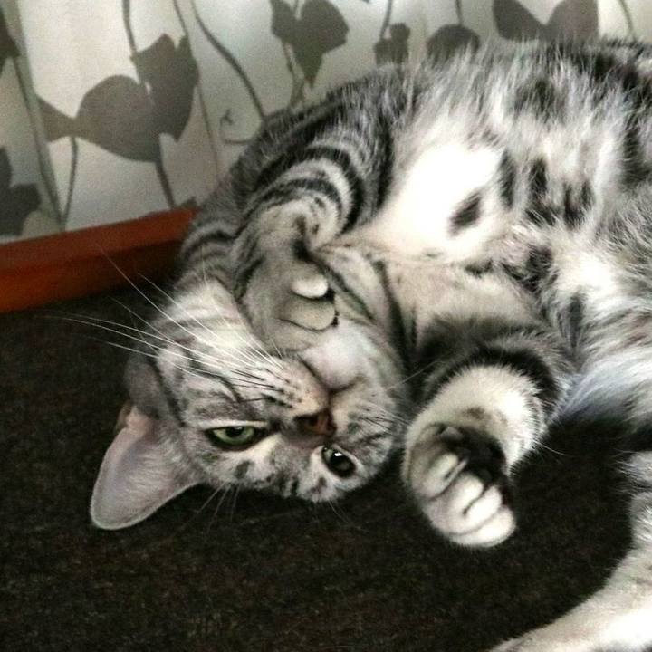 0da989e7 ffe2 4972 94b0 0059be9e42e7 1596358389559