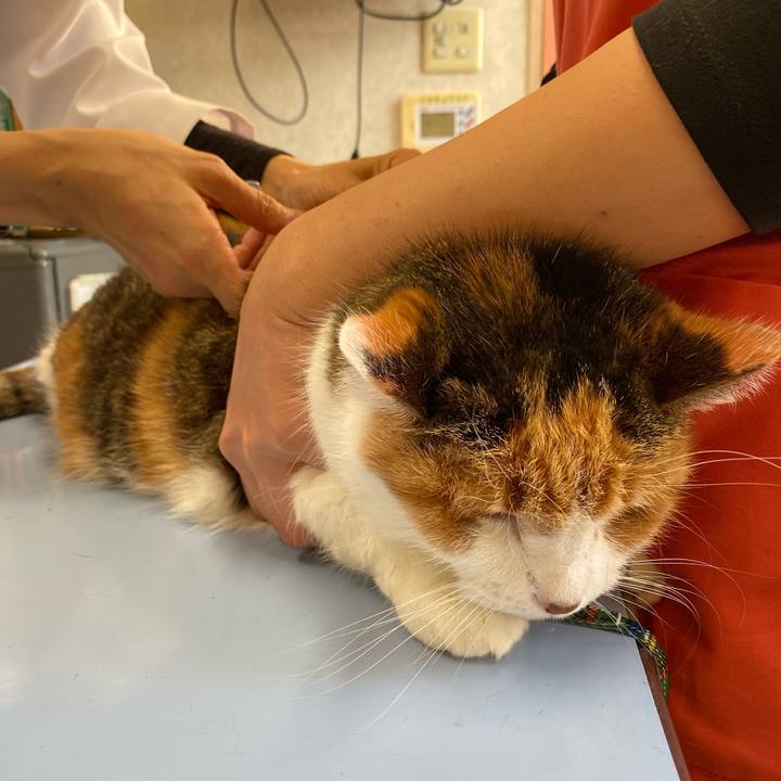 0da9b2ce f6f7 43dc b296 44b8de313092 1576246962062