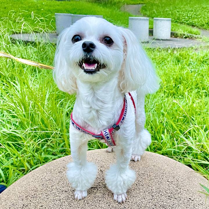 0da9b425 068f 4d22 87e3 d86e90de4d7c 1630898968154