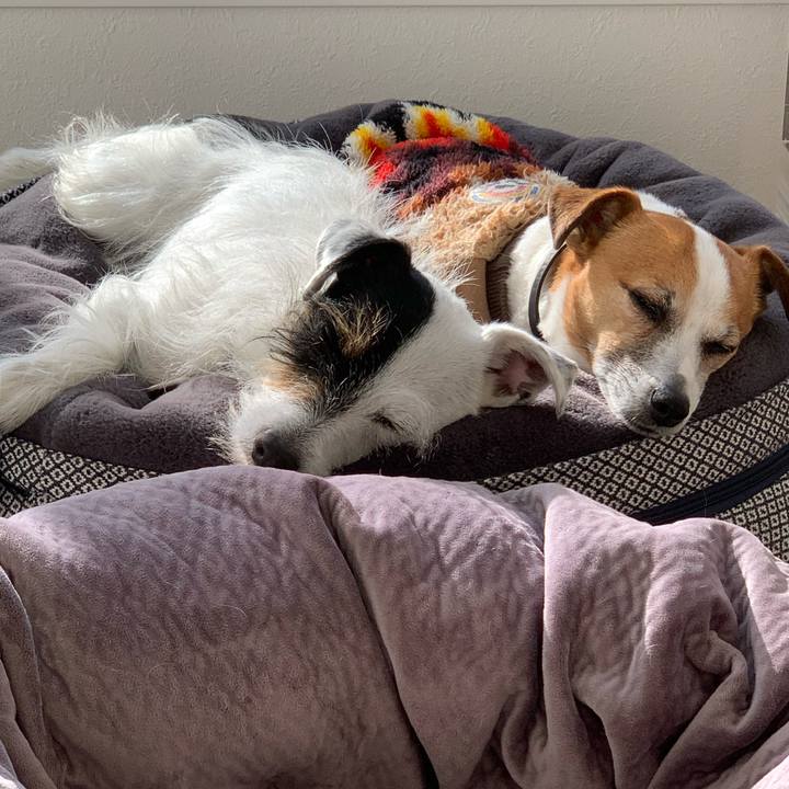 0da9bfe9 bc3f 45e9 9912 cb3a082c8fee 1612071219330