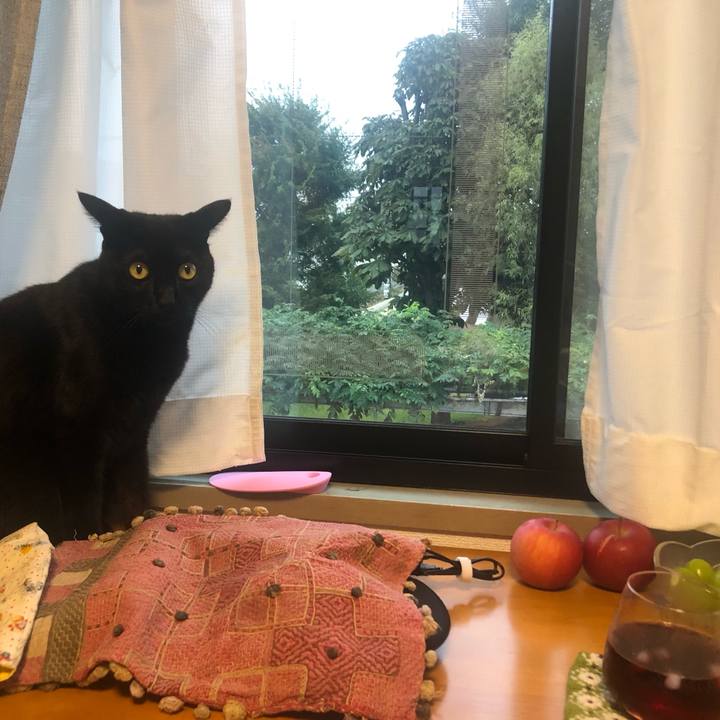 0da9df6d 56d2 48bb be96 b3a5c47e0ea0 1633047631866