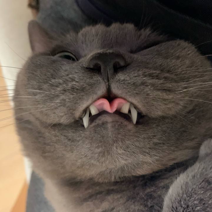 0da9fcc0 34aa 4bd9 bbec 97dd3dcd76d5 1653704515918