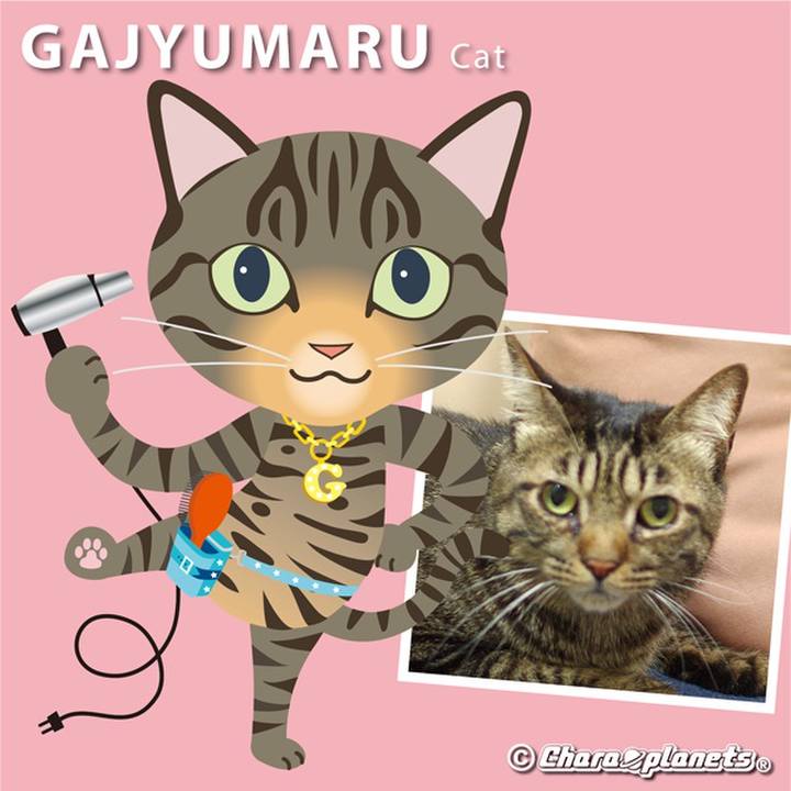 0daa2341 c341 4681 95c4 e61c3c3c38f8 1559364574175