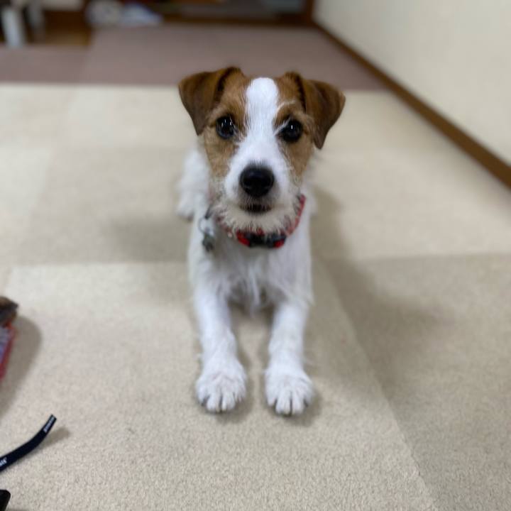 0daa44b5 b6ae 4460 b65d 7578678f348a 1653714047033