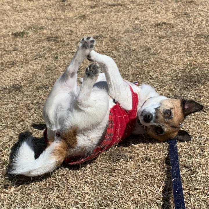 0daa6276 b647 485b 8168 0826d827300d 1584686963045