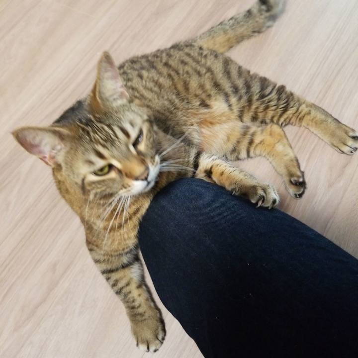 0daa718b 4a2e 49c8 939f 2fa431fe5aed 1585604483416