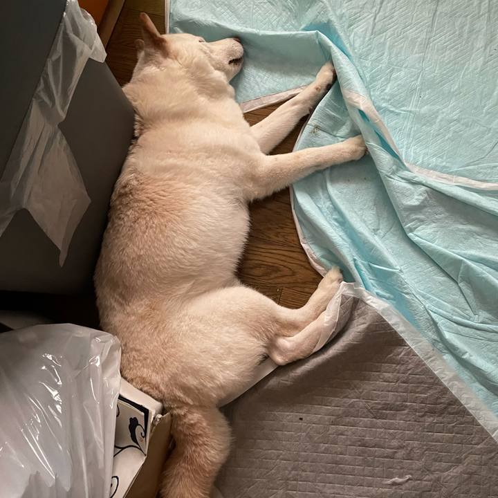 0daa8648 8f60 40eb ab7e 2927e1ee1f69 1634470003061