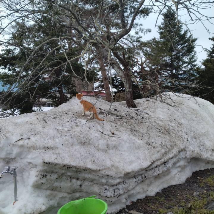 0daabb50 5047 41e7 9df9 9d5d8c861f2d 1742521439712