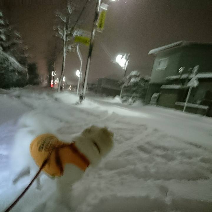 0daacd8a a58b 4076 bb3a e62b3f9b9ad0 1516827823417