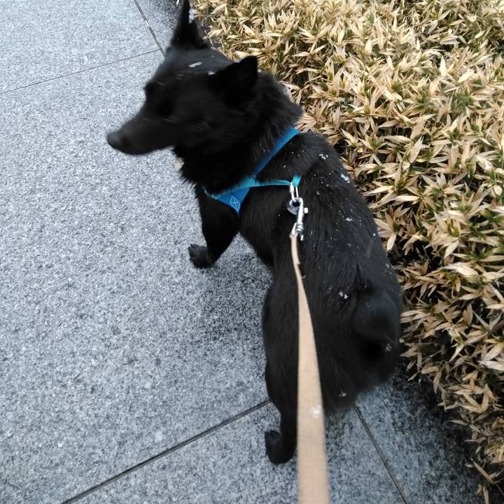 0daae4ef c7b7 4522 893c daed0442161a 1549843372120