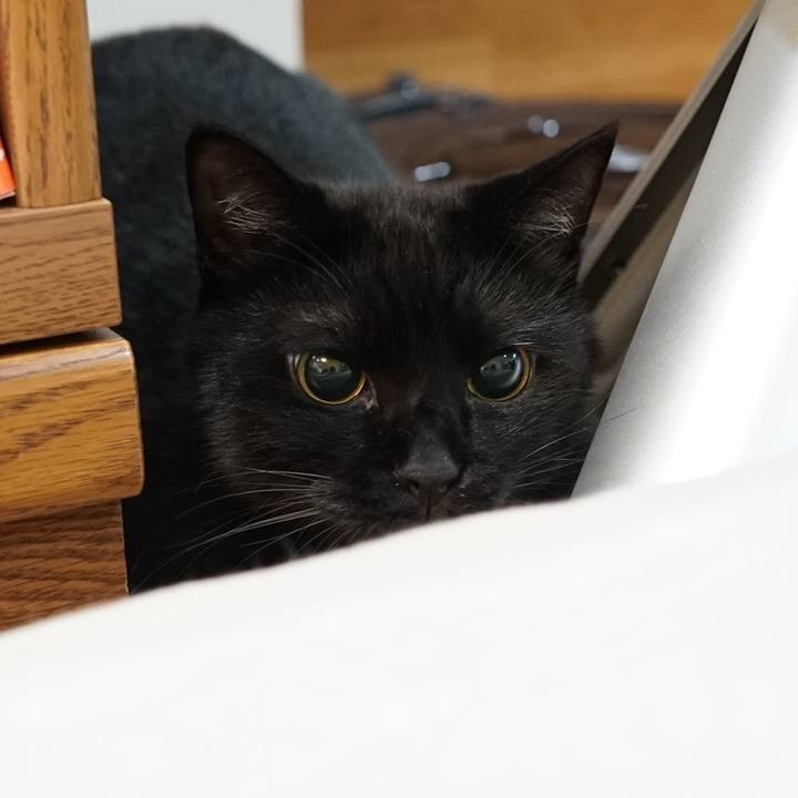 0dab0c00 6db3 4a6f bcad cdbd53d42db6 1565880488606