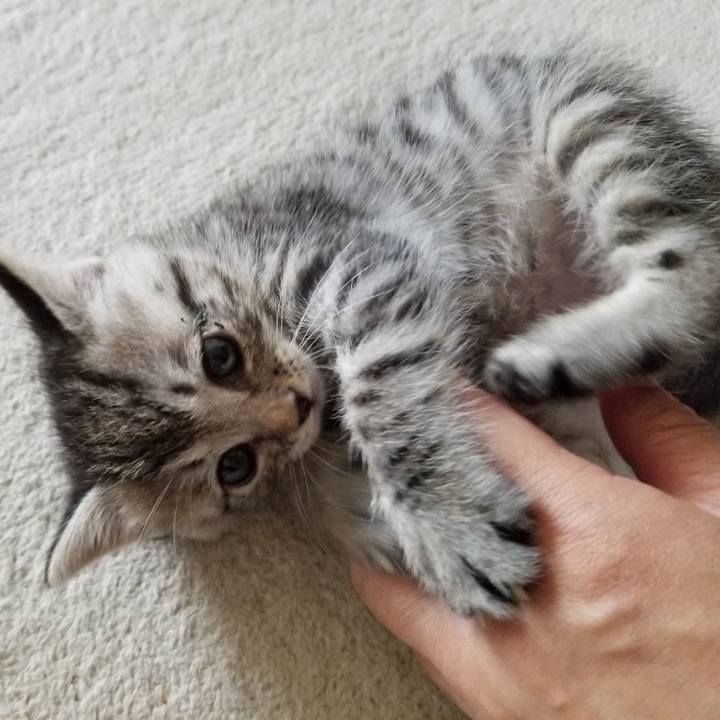 0dab4275 3689 4b85 b400 b339e46a2c75 1660834881348