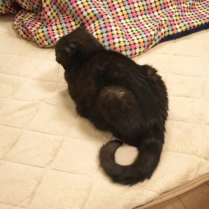 0dab5dcc 3149 479e a101 6ac62d7cc440 1519299877168