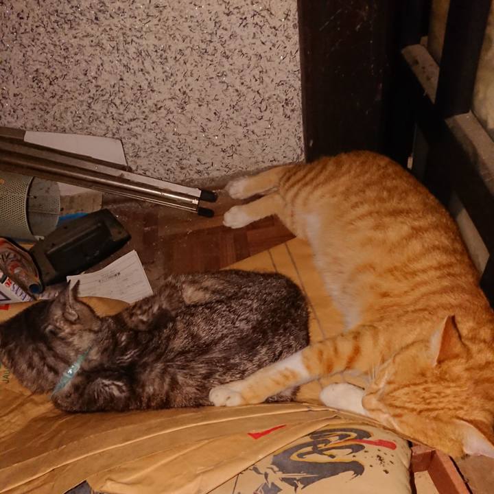 0dab84bb 4d9f 4a90 9579 7cdd200665aa 1567084965079