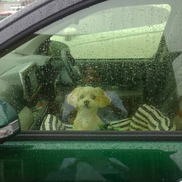 0dab9933 b021 41a4 b5c0 dca4fbd04a65 1560047689382