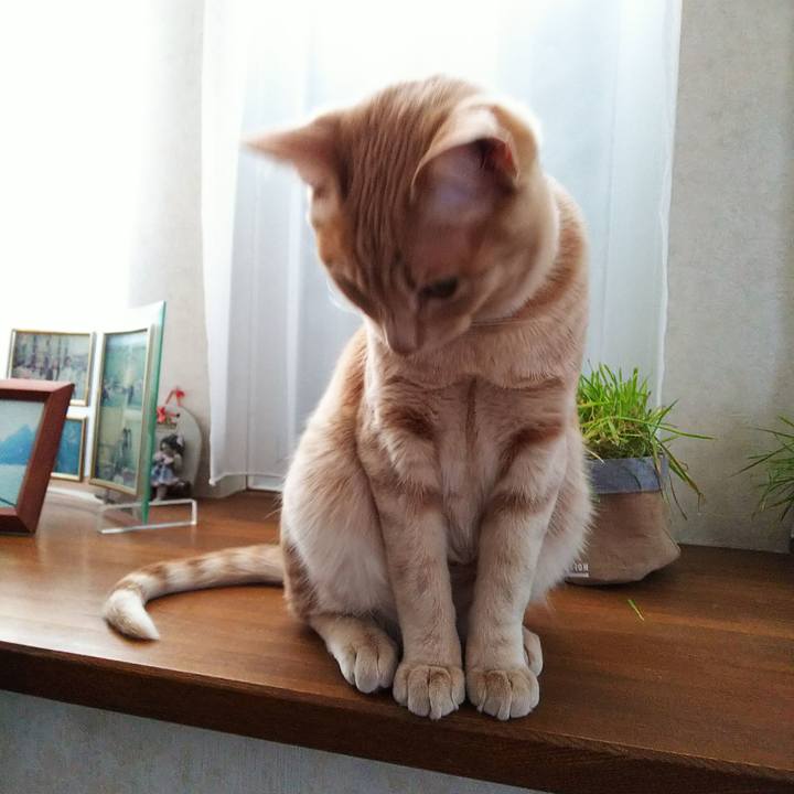 0dabcc91 9054 4085 8993 5411af51cb6c 1550193150178