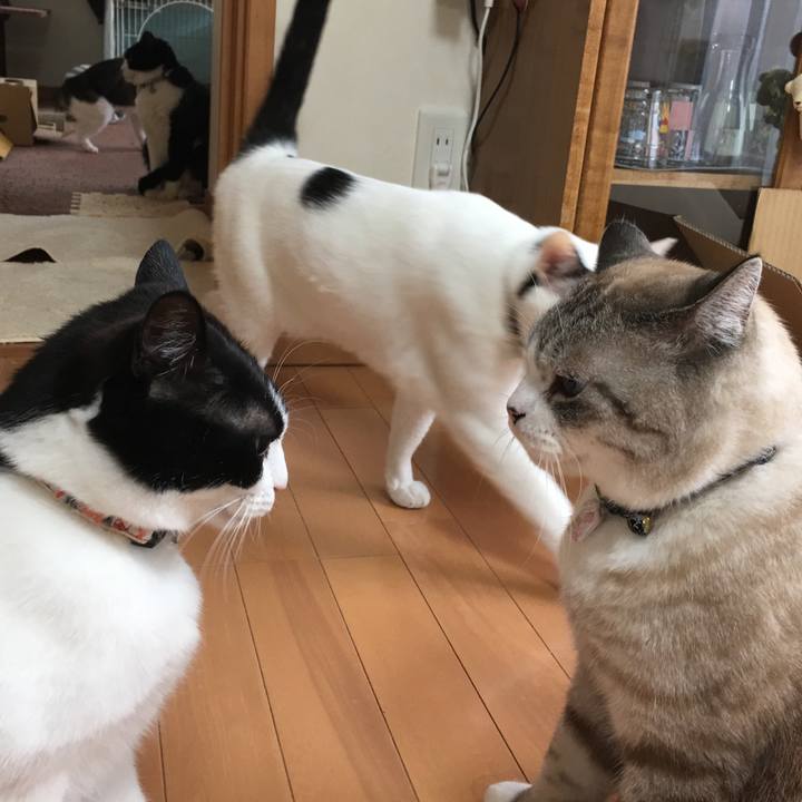 0dabe2b8 7367 4f6b 9c18 26d6a90e14c1 1528619190992