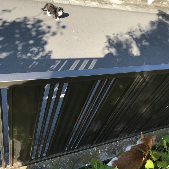 0dabfa8b 1bf0 412c 93ef 7282a2118e8d 1508201210040