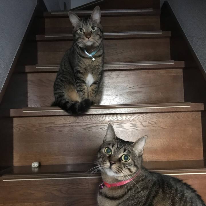 0dac09ba 1429 481f 9a2f 102d7d6107cc 1588678858508