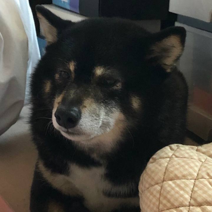 0dac1f51 c511 4971 a5cc 2f45e75ab578 1555365159983