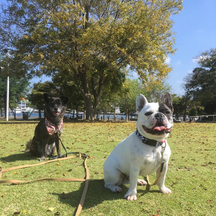 0dac5b2d 6472 4e3c a991 0c671e305ebc 1555386611770