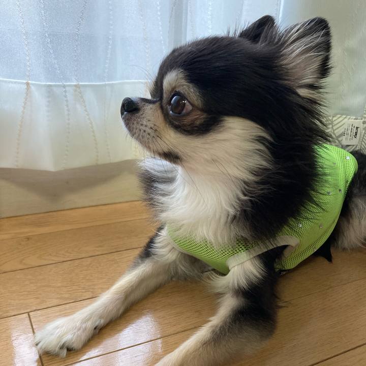 0dac5c72 e14b 4357 a814 a288a0412294 1694272098680