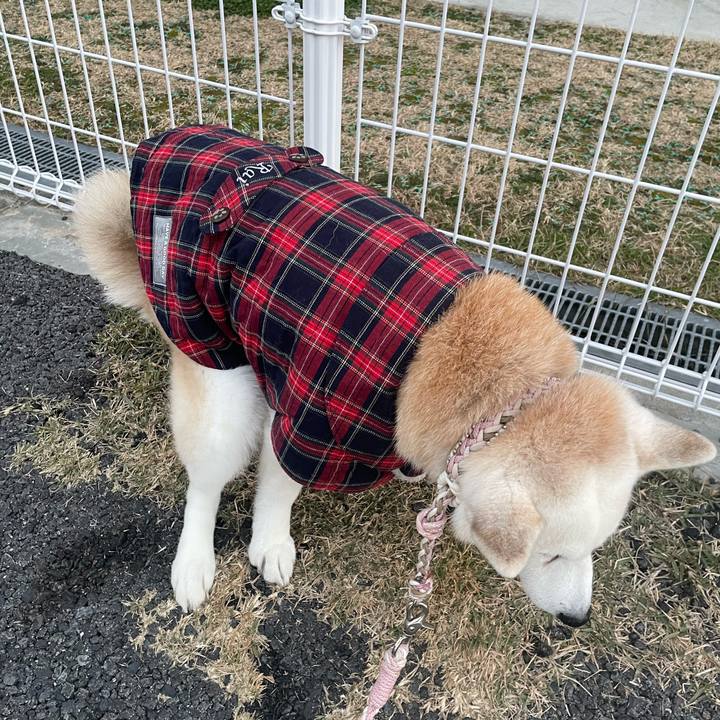 0dac6263 4a0c 4692 b033 99a2e0082bfd 1703594761570