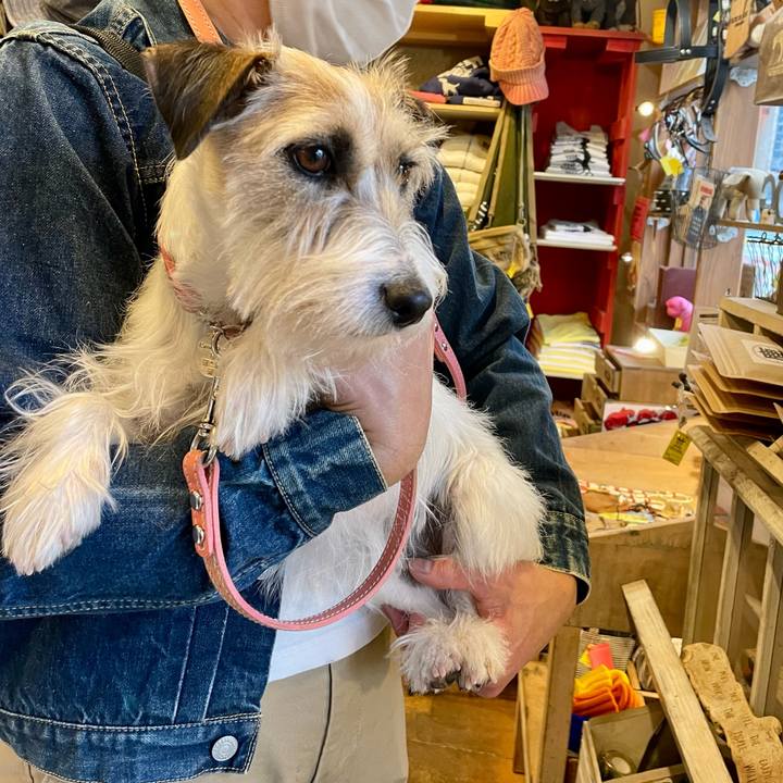 0dac652a 864a 4a15 beaa 0a549e5203a0 1647178517326