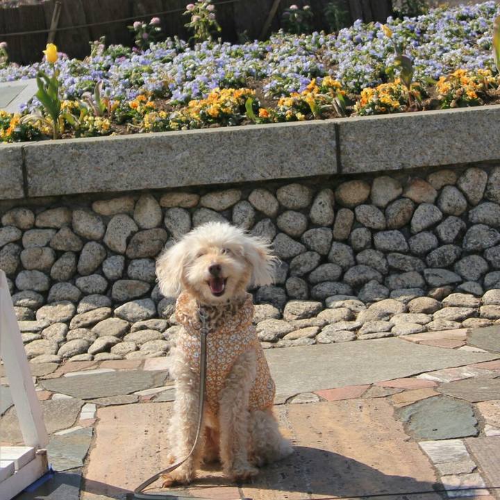 0daca99b 56f5 4d27 99f5 68438489471c 1646482162675