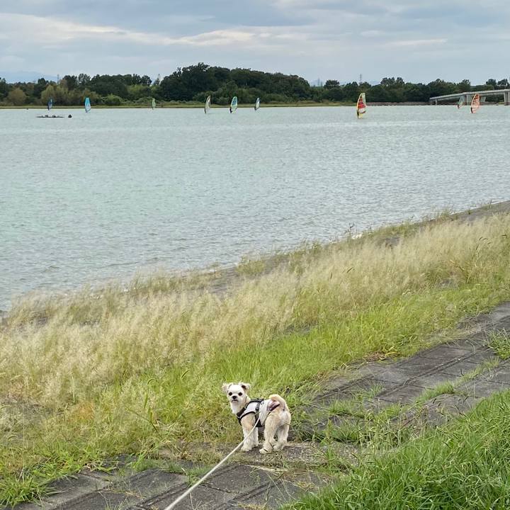 0dacc4b4 82dc 4e23 83dd 2197b9ae1f82 1569656239202