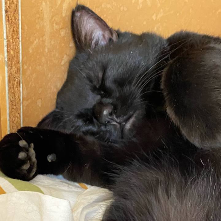 0dad2390 974d 4fd5 a162 5a48e6f51543 1640426389189