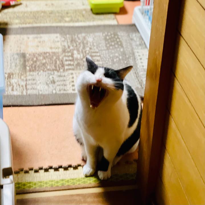 0dad3ed9 105f 4134 9a85 42da260ff109 1613525414388