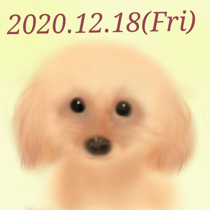 0dad4e42 8b5e 4353 bcca f1b1b4ff46f5 1608296324898
