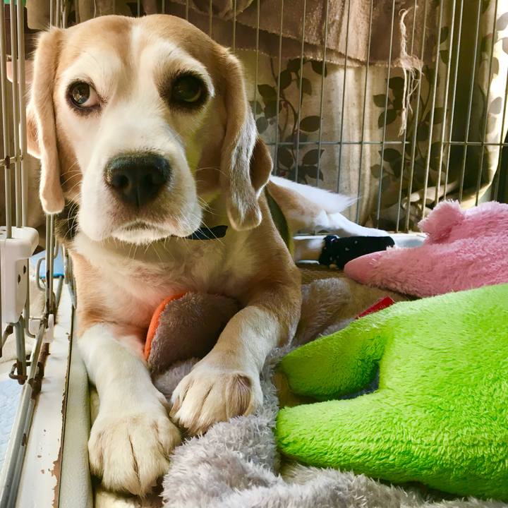 0dad54e5 d5ef 4224 ac26 5215dcec782b 1748142320983