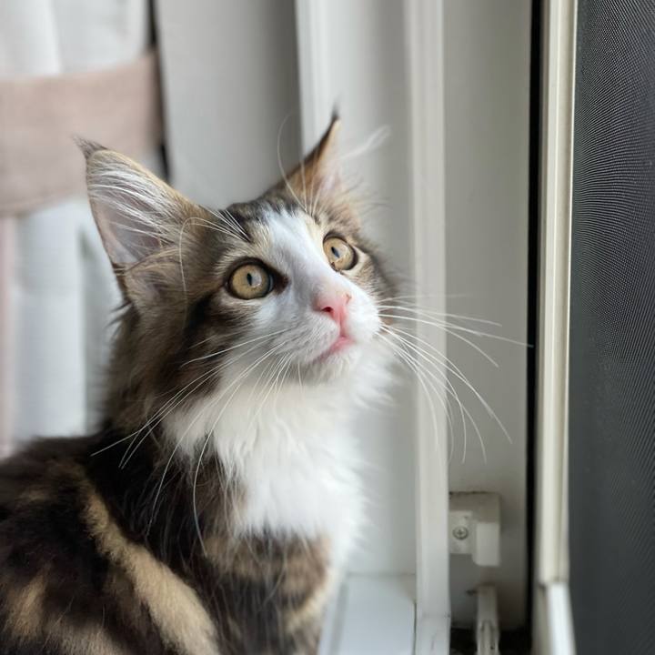 0dad5e3c 7eb2 4b1b 8247 b6f8da7276ea 1632690757237