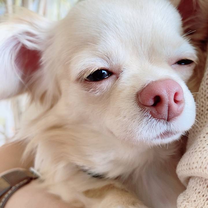 0dadd0a2 19f0 468e 94e3 a8be89f405b1 1617345856853