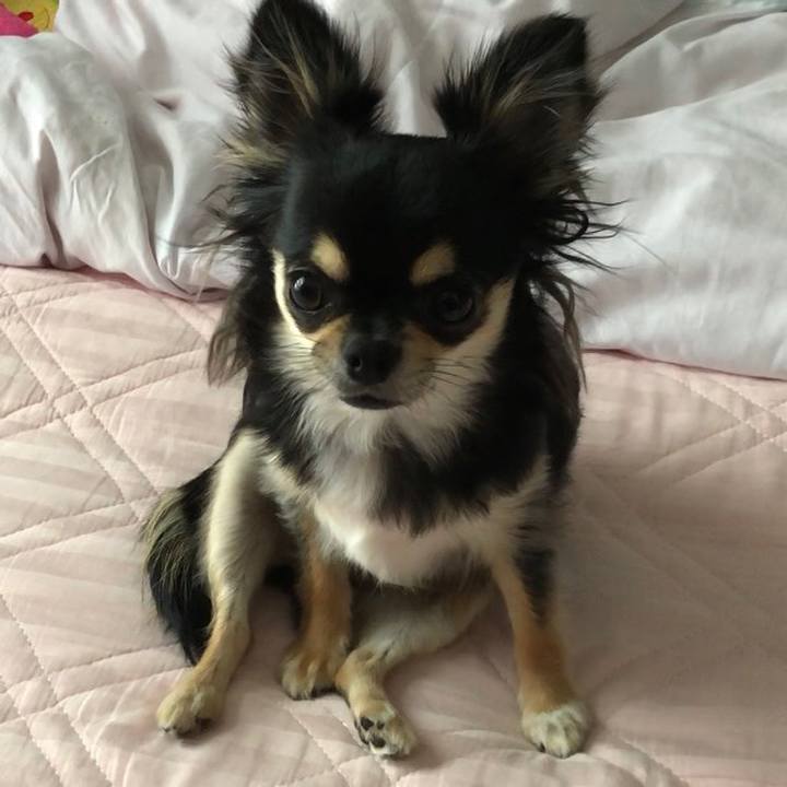 0dadd58c d91b 4840 aa71 e9c340c5f806 1561861988417