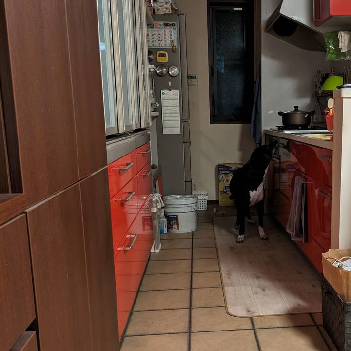 0dadde0c 8dd6 4cc1 871a 40ecdcfb781e 1709465018793