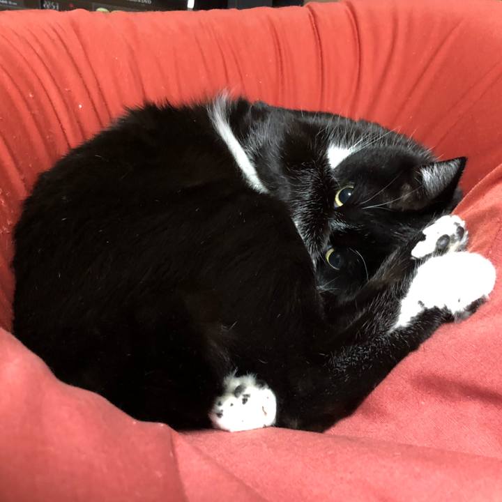 0dadf6f4 22eb 4bf0 9749 ff39a2fa492b 1641204349855