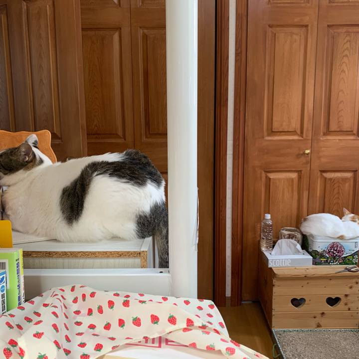 0dae26dd 451a 4a28 910d a8d86e6d2079 1620594804830