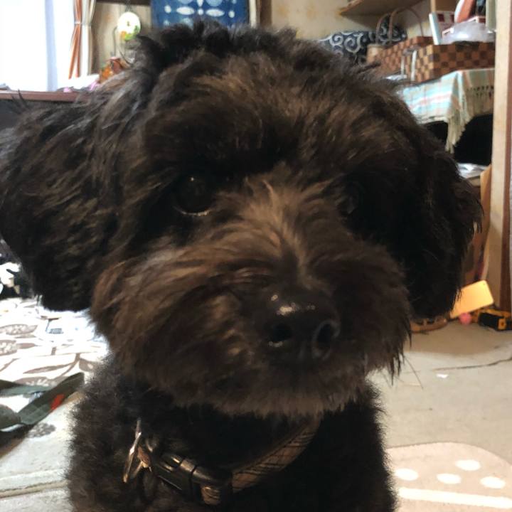 0dae30ee 378a 4b8d b88e 96750529d4e9 1508362661297