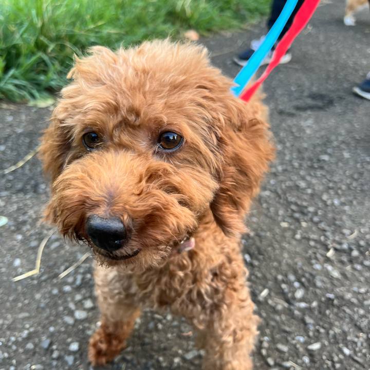 0daead0d 7992 4aad a6df c2dc24c517ad 1723680479398