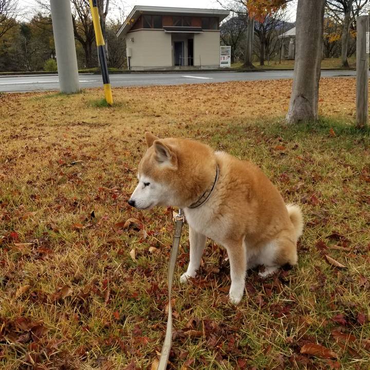 0daec424 2dc2 4c6e be4e 816a8bac7b72 1700289054722