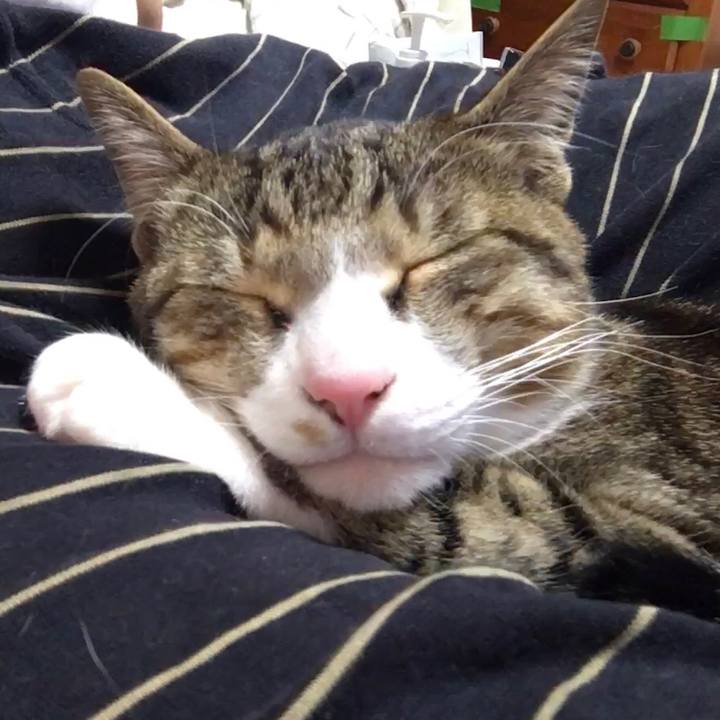 0daec9ab 963d 4d64 b1ee 1f706febcdd3 1683474095452