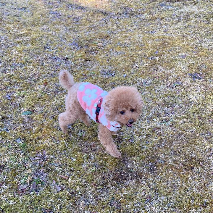 0daecf99 756e 4a63 9b4f 83d70541b549 1678455570816