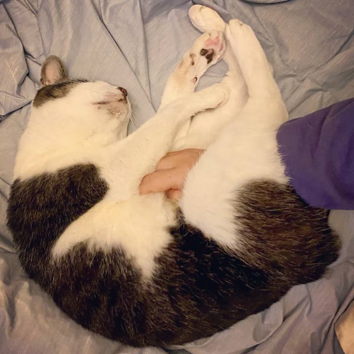 0daed287 3209 4a73 bed1 41427ea9048b 1614086614351