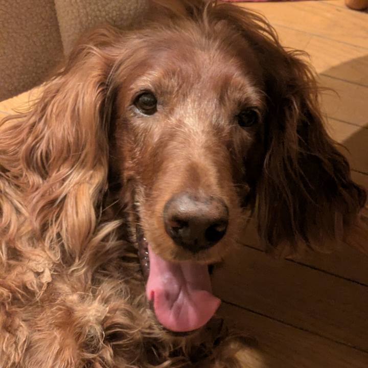 0daef0be 61e7 45ce 86c9 df908f9d6ebb 1771511089765